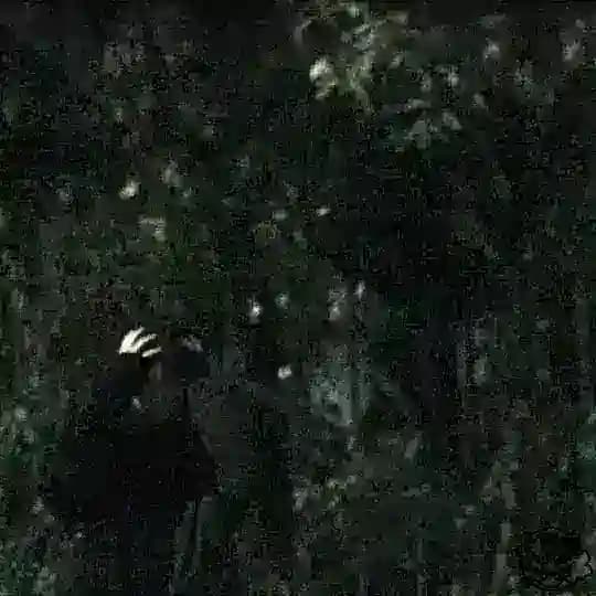 империя зла🙁