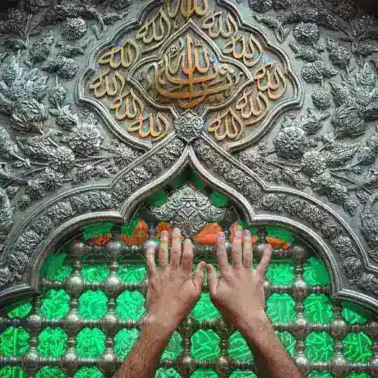بضاعة مزجاة⚜️🖤