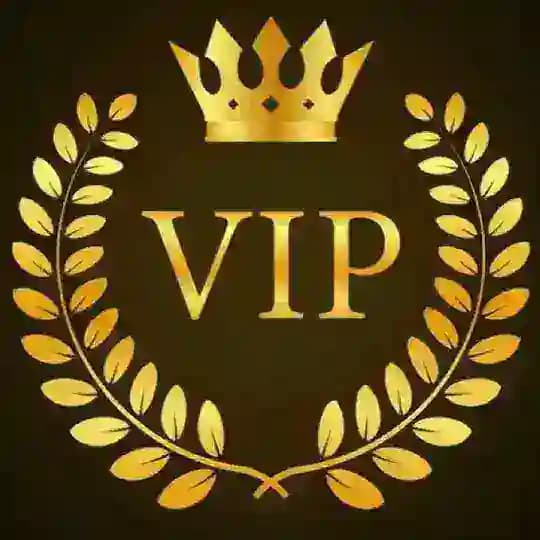 VIP CORRECT SCORE