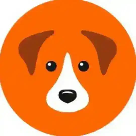 Муниципальный приют для собак в Химках (GetDog)