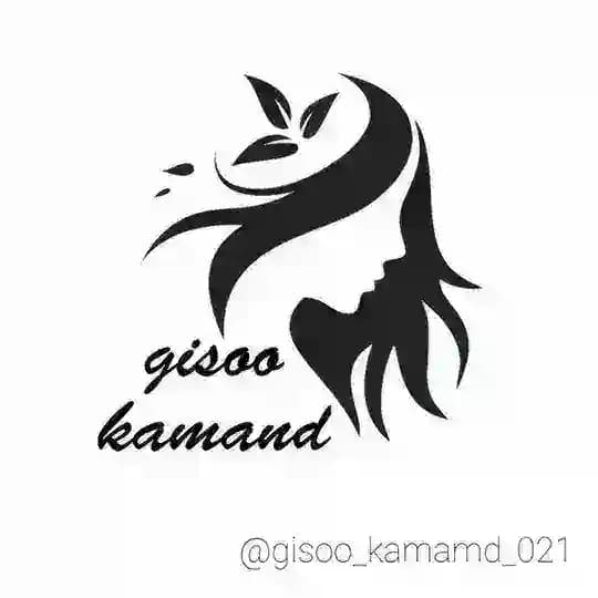 گیسو کمند
