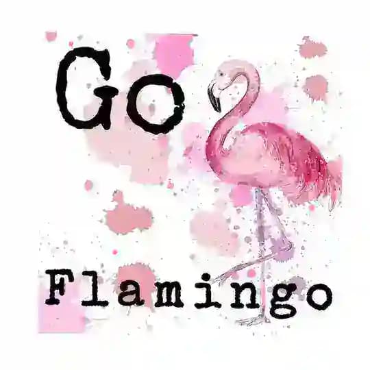 Go flamingo🖤