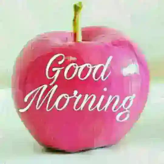Good Morning Quotes