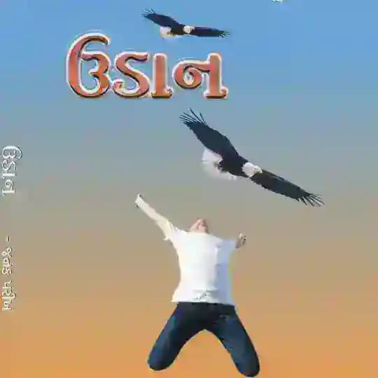 Gujarati Magazine and Novel Profile
