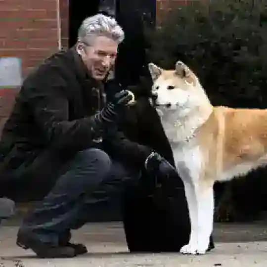 Hachiko a dog's story