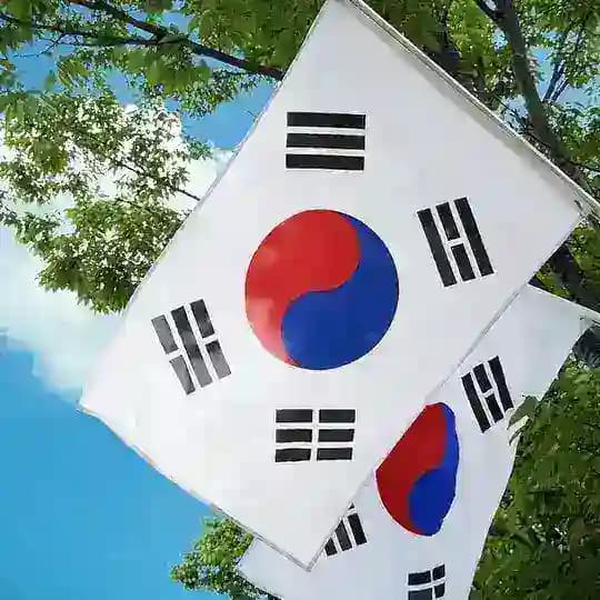 🇰🇷韩国素材🇰🇷