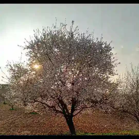 HOŞÇAKAL ÜLKESİ 🍂