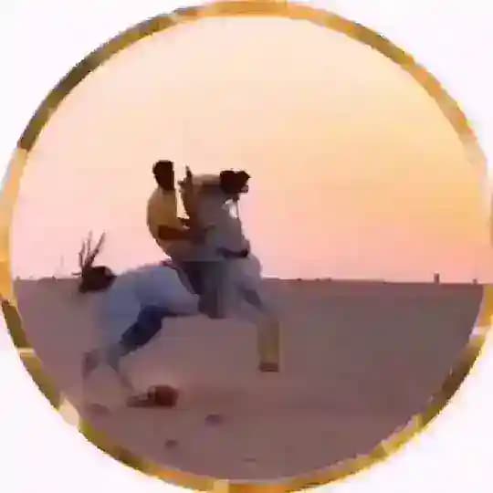 فقرات يلا لودو 2