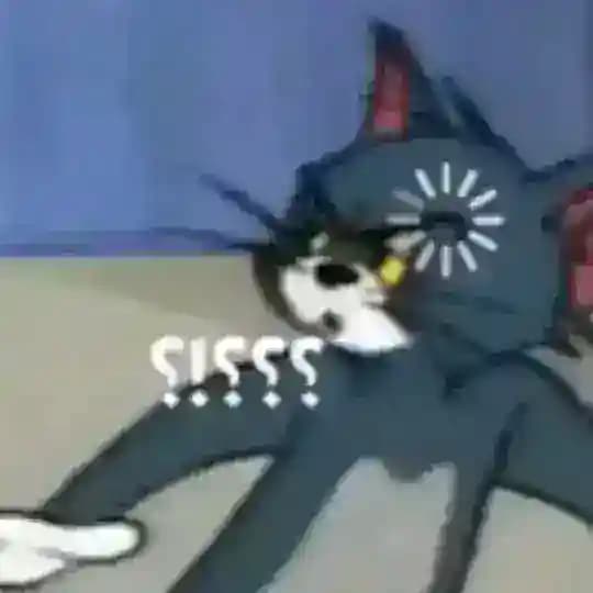 صوتيات ميمز