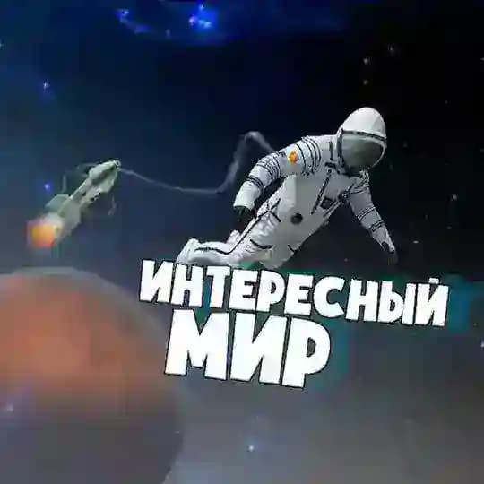 Интересный Мир 🌎