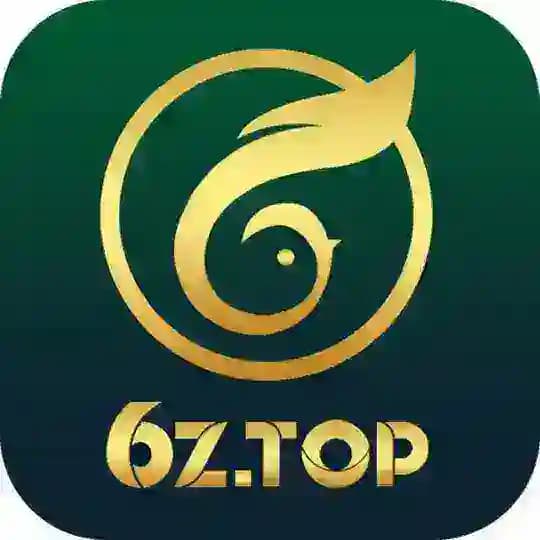 6z.top Agentes
