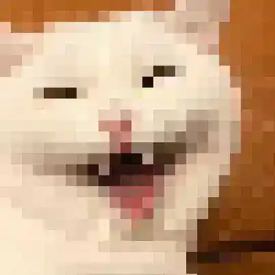 kotykotykotykoty