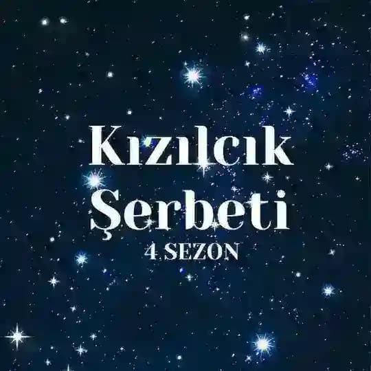 Клюквенный щербет💥Kızılcık şerbeti