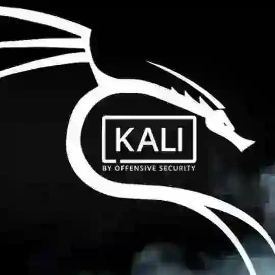 Kali Linux proofs