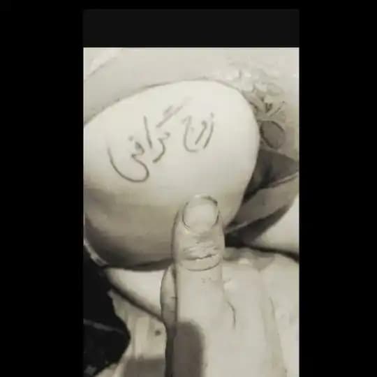 زوج_ گرافی_ معصومه❤