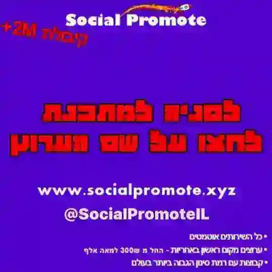 בניית אתרים בוטים קבוצות