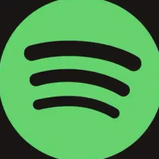 Spotify Indonesia Profile