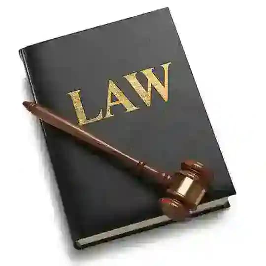 ️Legal Culture⚖️