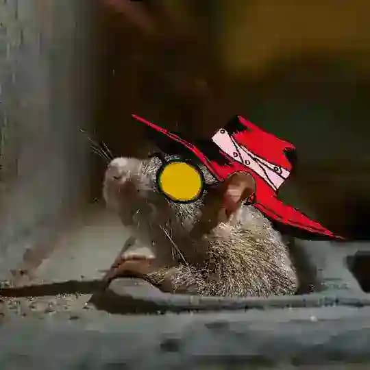 Ленивая жопка🐹🐹🐹