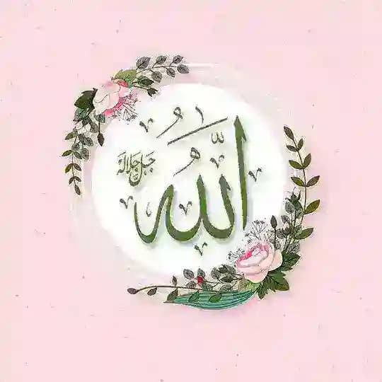 LES FEMMES SALAFIYATES