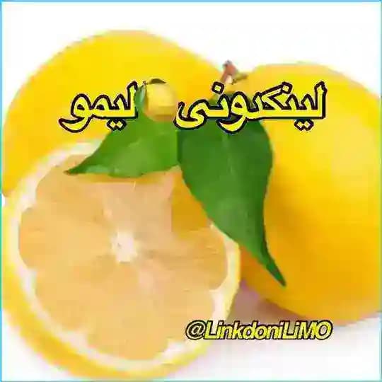 لینکدونی تهران کرج 🍋 لیمو