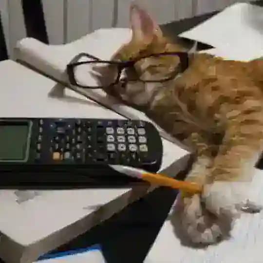 MATH F2 WITH QAYYUM Profile
