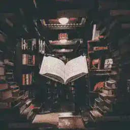 Lisons Ensemble ๐โจ Profile