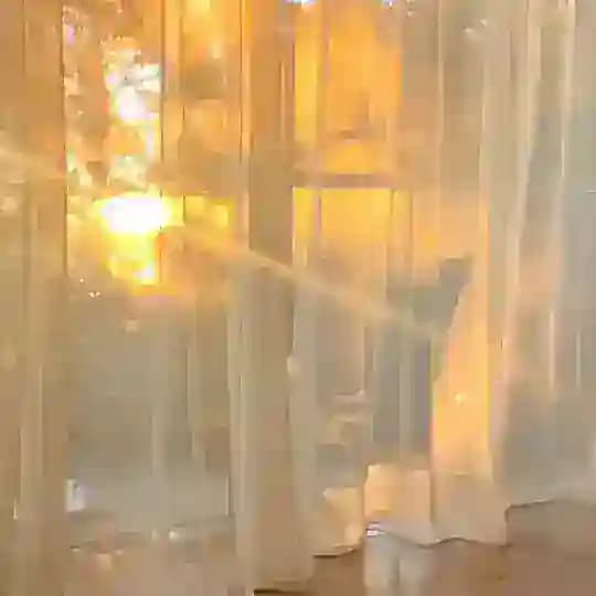 🔮فال بانو ماهی🔮