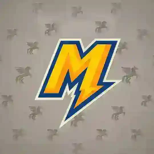 marcuseus NFT Profile