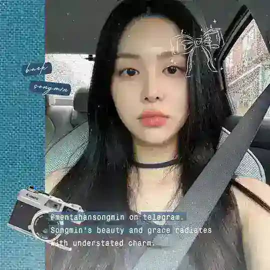 Baek Songmin Profile