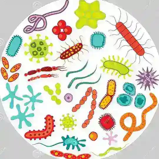 Microbiology MBBS notes and mcq's