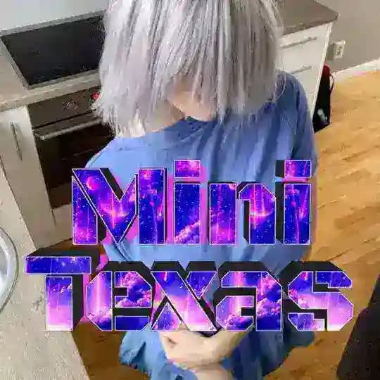 MINI TEXAS