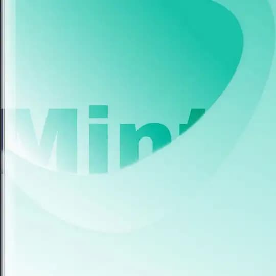 MINT_Cloud