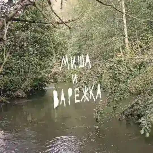 миша и варежка