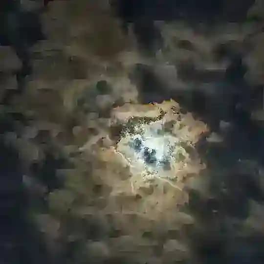 ℙ𝕖𝕝𝕪𝕝𝕚𝕤𝕥 𝕞𝕦𝕤𝕚𝕔 Profile