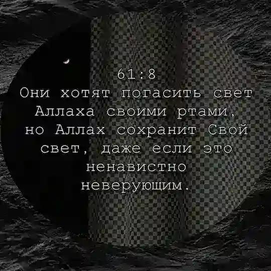 Нашиды