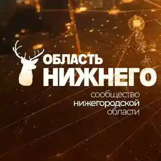 Область Нижнего