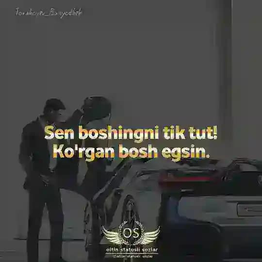 OLTIN STATUSLAR