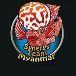 P1 FH 🇲🇲 Profile