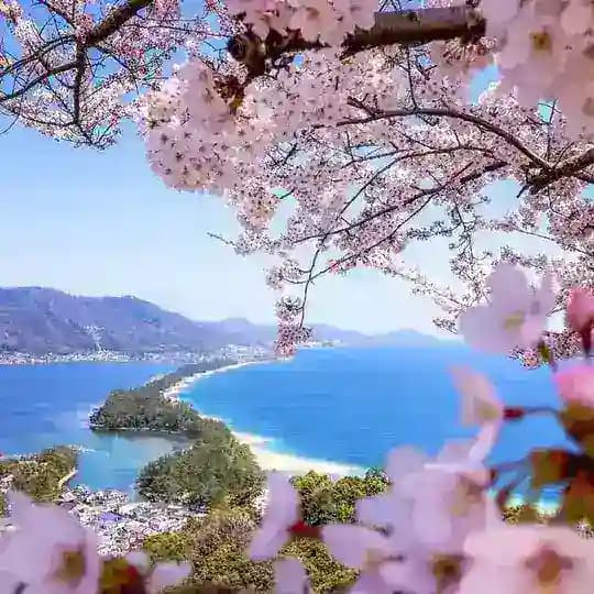 کلیپ های زیبای طبیعت Profile