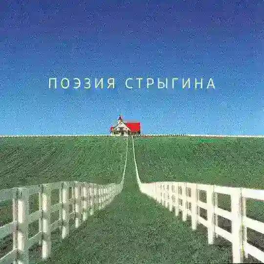 Поэзия Стрыгина
