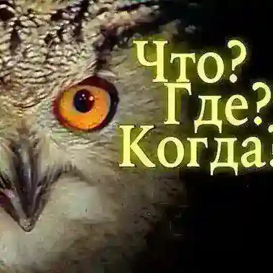 Посмотрим?