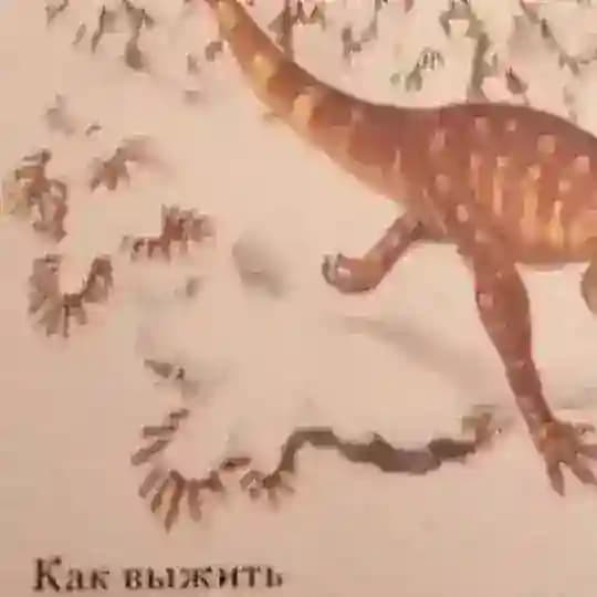 КАК ВЫЖИТЬ