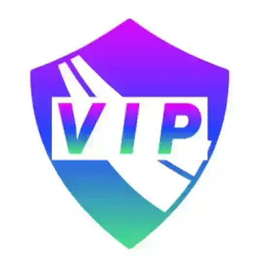 VIP-2024