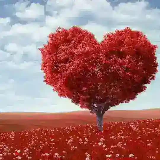 📝ʀєςɑитღ ∂ɑs ɨиsρɨʀɑçõєs ❤️