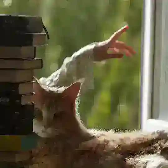 Алінарія про книжки ❤️🩹