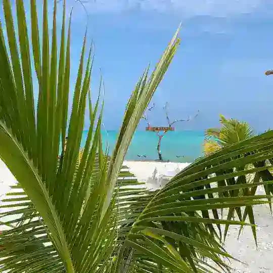 Реальные Мальдивы 🏝️