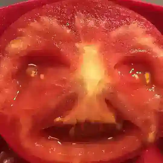 Очерки Неровным Почерком