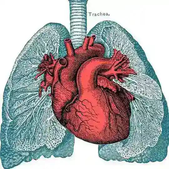 R2 4ème Médecine 23