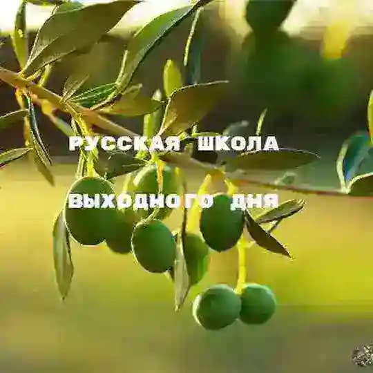 Русская школа выходного дня "Олива"
